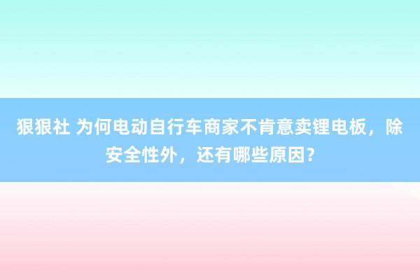 狠狠社 为何电动自行车商家不肯意卖锂电板，除安全性外，还有哪些原因？