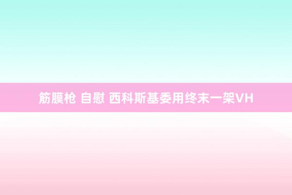 筋膜枪 自慰 西科斯基委用终末一架VH