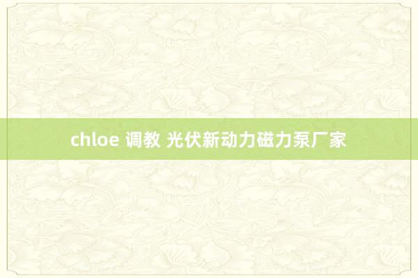 chloe 调教 光伏新动力磁力泵厂家