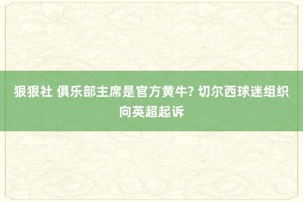 狠狠社 俱乐部主席是官方黄牛? 切尔西球迷组织向英超起诉